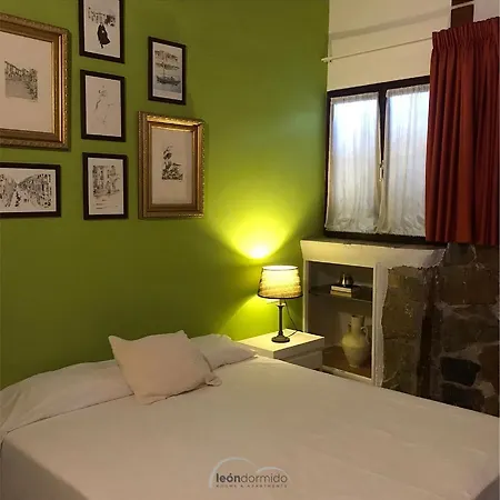 Auberge de jeunesse Leon Dormido & *