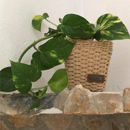 Hostel Leon Dormido & *