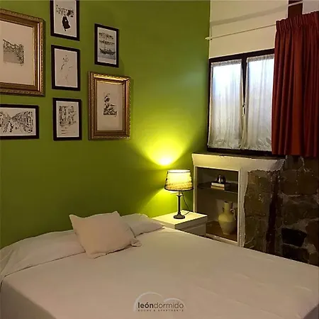 Auberge de jeunesse Leon Dormido & Polop