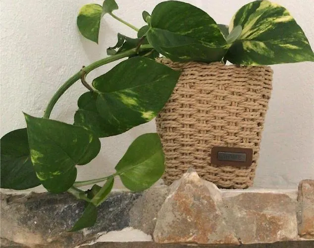 Hostal Leon Dormido & *