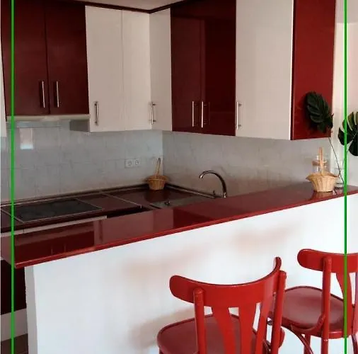 Hostal Leon Dormido &