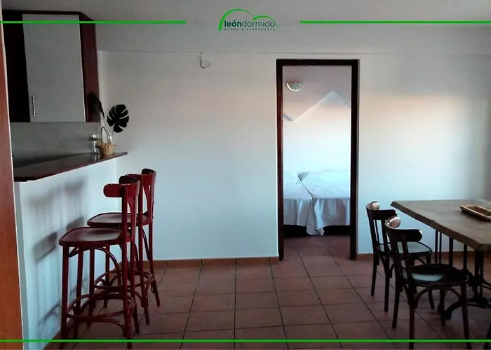 Leon Dormido & Hostal *